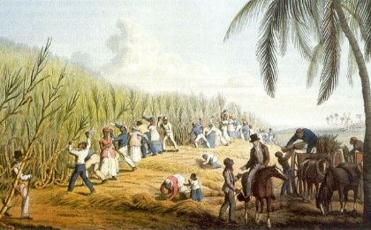 Caribbean sugar plantations.