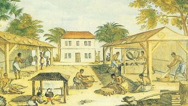 Can the Caribbean Afford to Erase Its History?