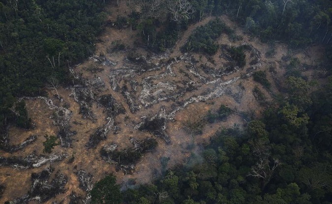 Each bout of deforestation not only removes habitat for tropical wildlife but significantly contributes to increases in carbon dioxide gas, the main driver of global warming.