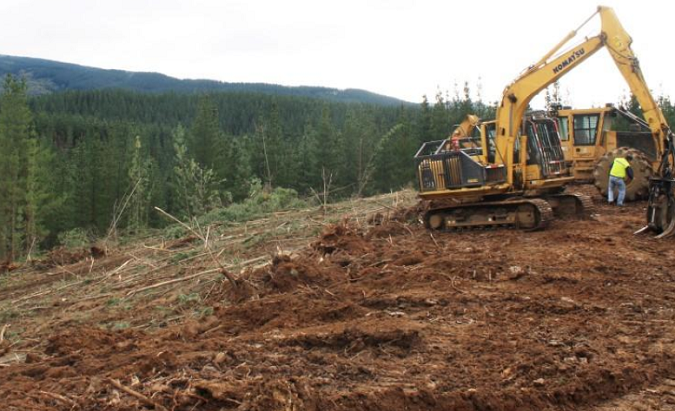 Logging machinery sits in a pine plantation where rebels threatened workers of Arauco subcontractor Nylyumar Forestry last month in Angol, Chile, Jun. 8, 2016.