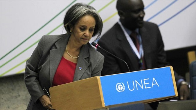 Zewde has served in several UN posts and as Ethiopia's ambassador to several countries.