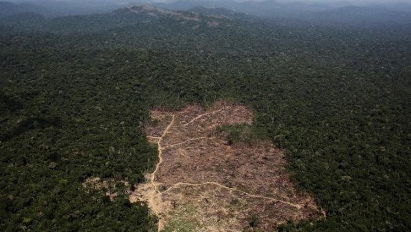 An aerial view of a tract of Amazon jungle cleared by loggers and farmers near the city of Novo Progresso, Brazil September 22, 2013.