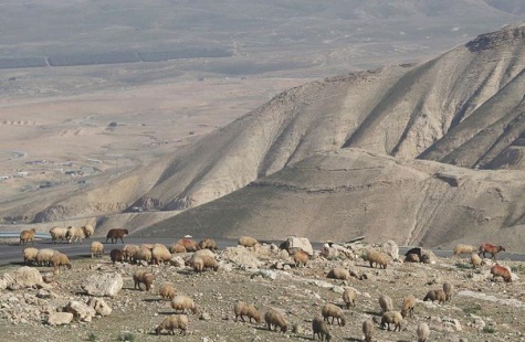 A view of the Jordan valley
