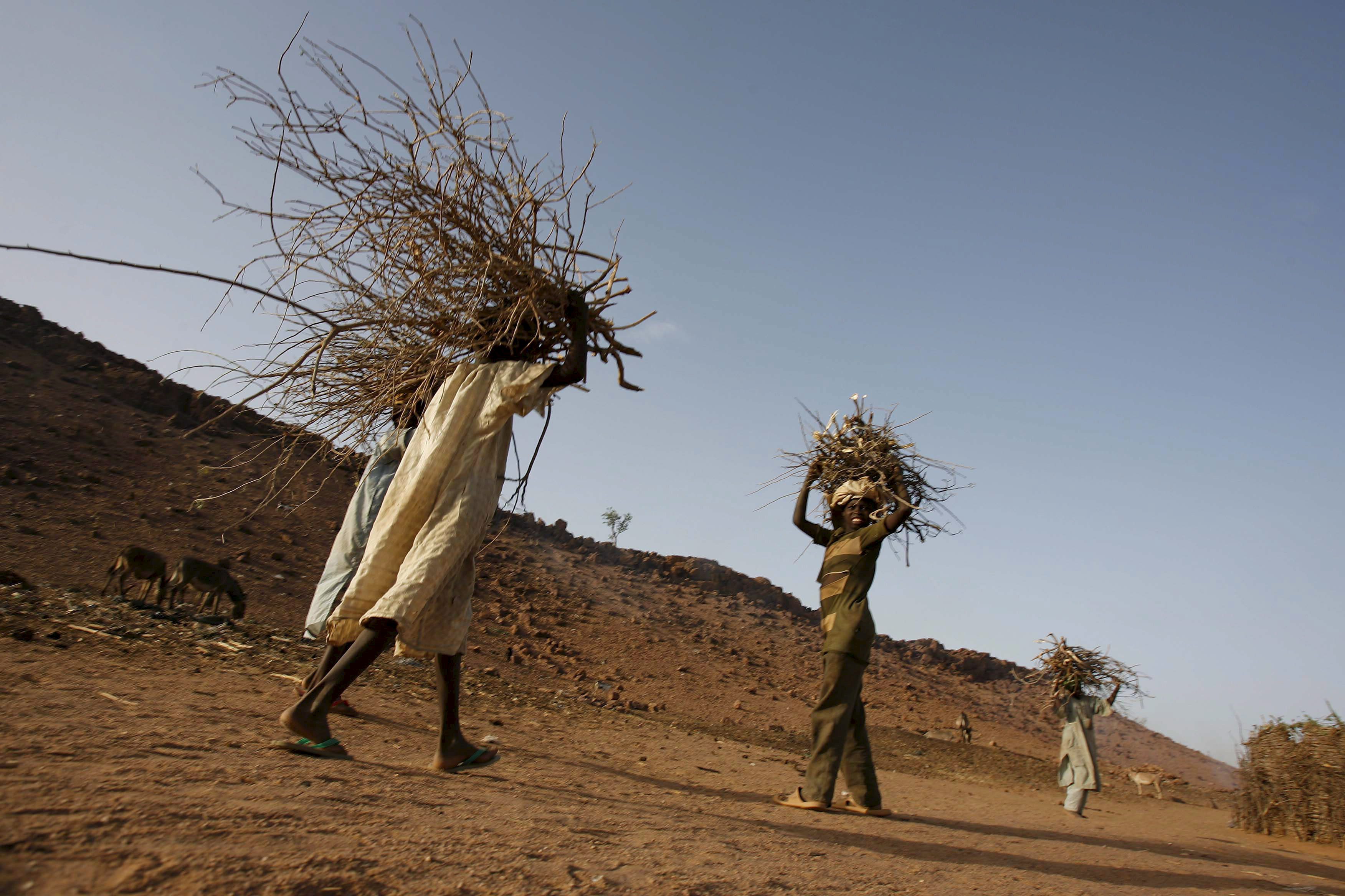 Darfur refugees gather firewood at Farshana refugee camp. (Photo: EFE)