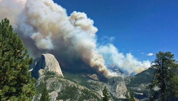 The Meadow Fire burns in Yosemite National Park, California in this handout photo released to Reuters September 8, 2014.