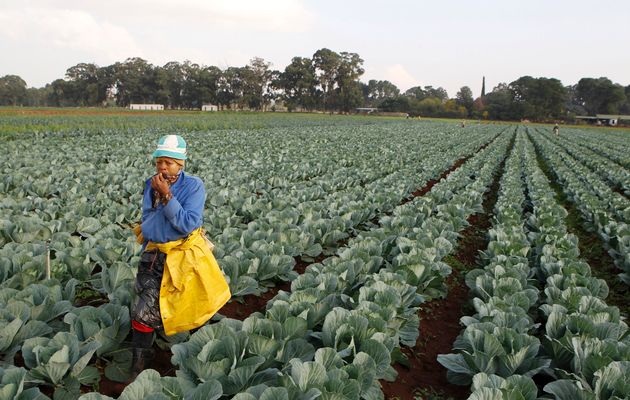 The deal with the EU will hopefully increase exports of horticulture from the East African states. (Photo: Reuters)