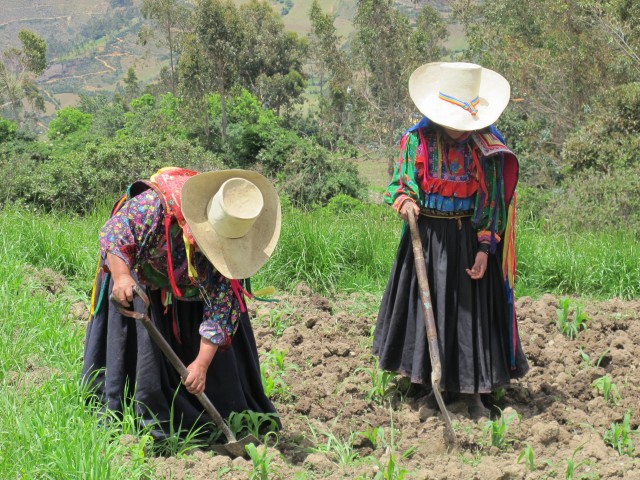 Women's work has always been devalued in our societies, yet they are responsible for at least half of the food production, and yet suffer more from malnutrition than men. (Photo: OIT)