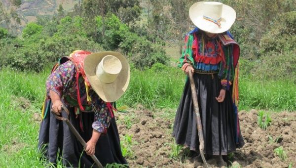 Women's work has always been devalued in our societies, yet they are responsible for at least half of the food production, and yet suffer more from malnutrition than men. (Photo: OIT)