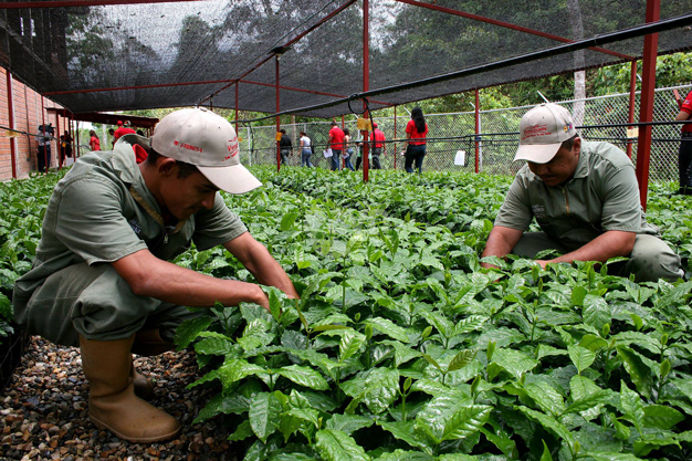The FAO and CELAC aim to promote food security initiatives throughout Latin America.