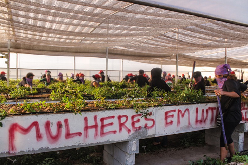 A masked woman stands beside graffiti that reads, “Women in the struggle.” Nearly 1,000 women occupied a research cite to protest the introduction of genetically modified eucalyptus trees to Brazil, March 5, 2015.