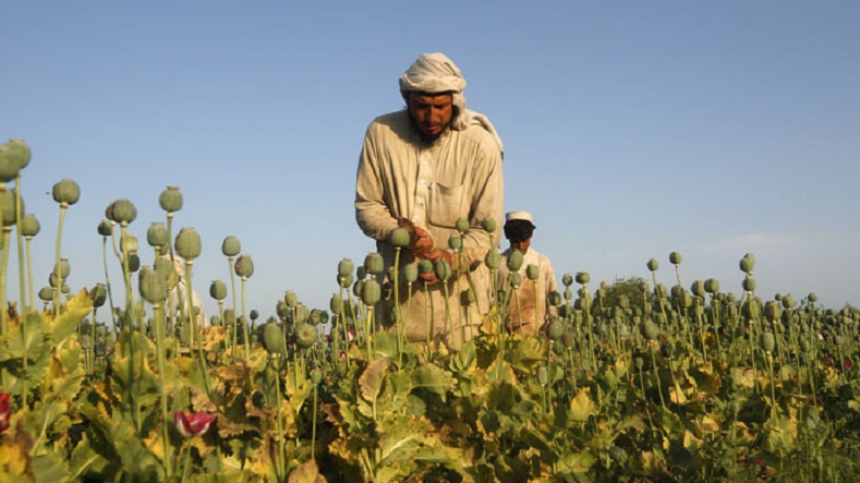 The U.S. has allegedly helped Afghan drug traffickers increase their production and to traffic heroin.