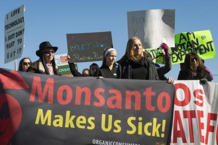 Activists protest against the production of herbicides and GMO (genetically modified organisms) food products outside Monsanto headquarters during its annual shareholders meeting in Creve Coeur, Missouri, in this January 30, 2015