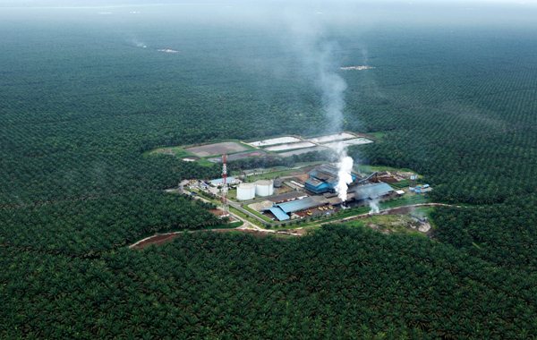 An aerial view shows a palm oil factory at a palm oil plantation in Indonesia’s Jambi province August 5, 2010.