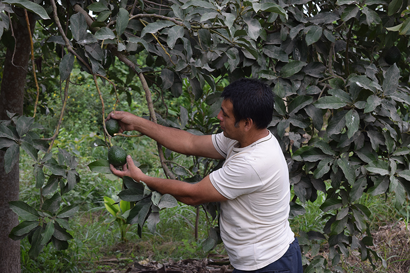 Organic Farm Worker César Ortiz
