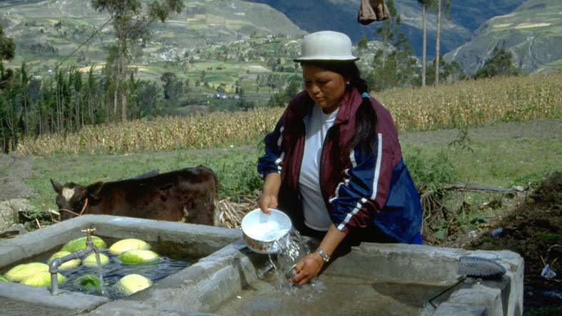 A farmer rinses fruit and vegetables using water from a new irrigation system in Ecuador.