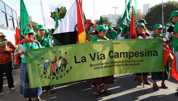Grassroots activists participate in a massive La Via Campesina march in 2010.