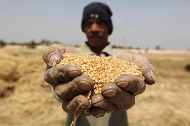 Small farmers hold the key to tackling hunger, according to the FAO.