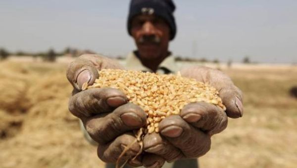 Small farmers hold the key to tackling hunger, according to the FAO.