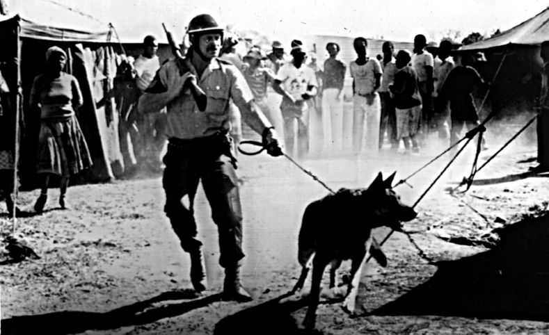 Armed police operation with dogs in the township of Soweto near Johannesburg, 12th May 1986.