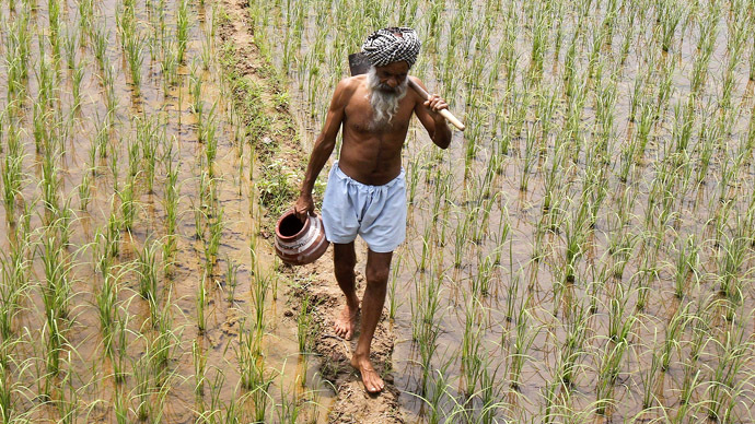 Monsanto seeds are said to be responsible for the spike in suicides of India farmers.