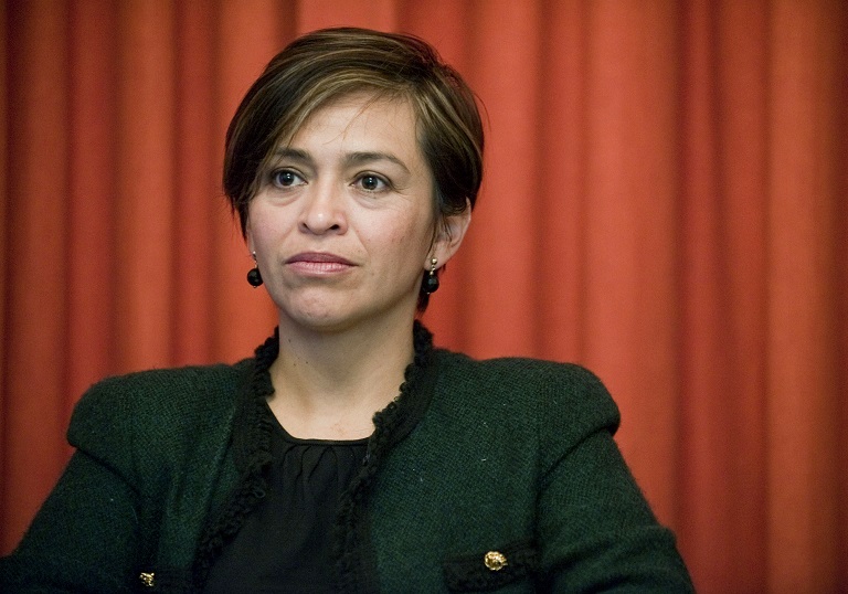 Mexican journalist Anabel Hernandez
