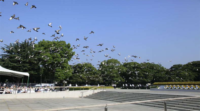Hundreds of doves were released, symbolizing peace.