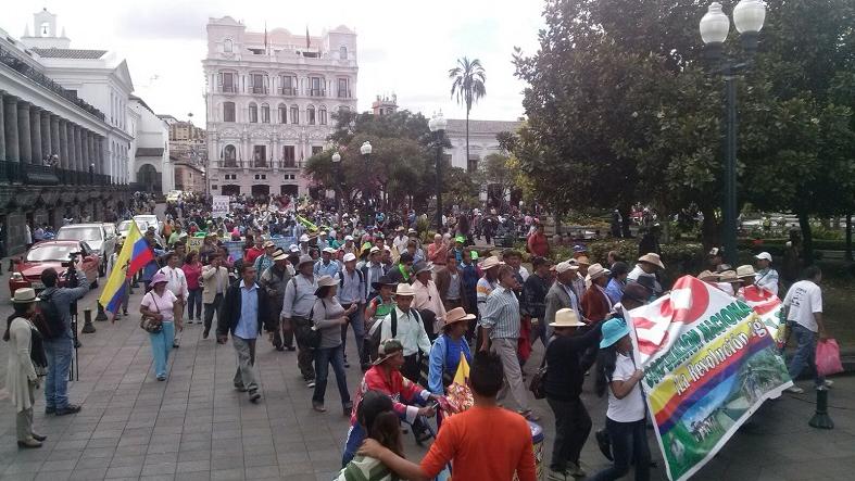 Supporters of the leftist government of Rafael Correa arrive in the Plaza Grande in the historic center of Quito, Ecuador, Aug. 12, 2015.