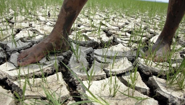Along with much of Central America, the Caribbean is facing one of its worst droughts in years, but Cuban researchers say they hope to bring rain with cloud seeding.