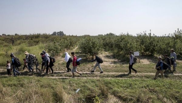 Refugees near Hungarian border. 