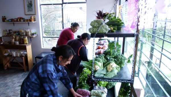 The Zapallo Verde farmers market happens weekly at the Casa del Arbol.