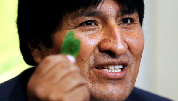 President Evo Morales was leader of the cocalero union before being elected.