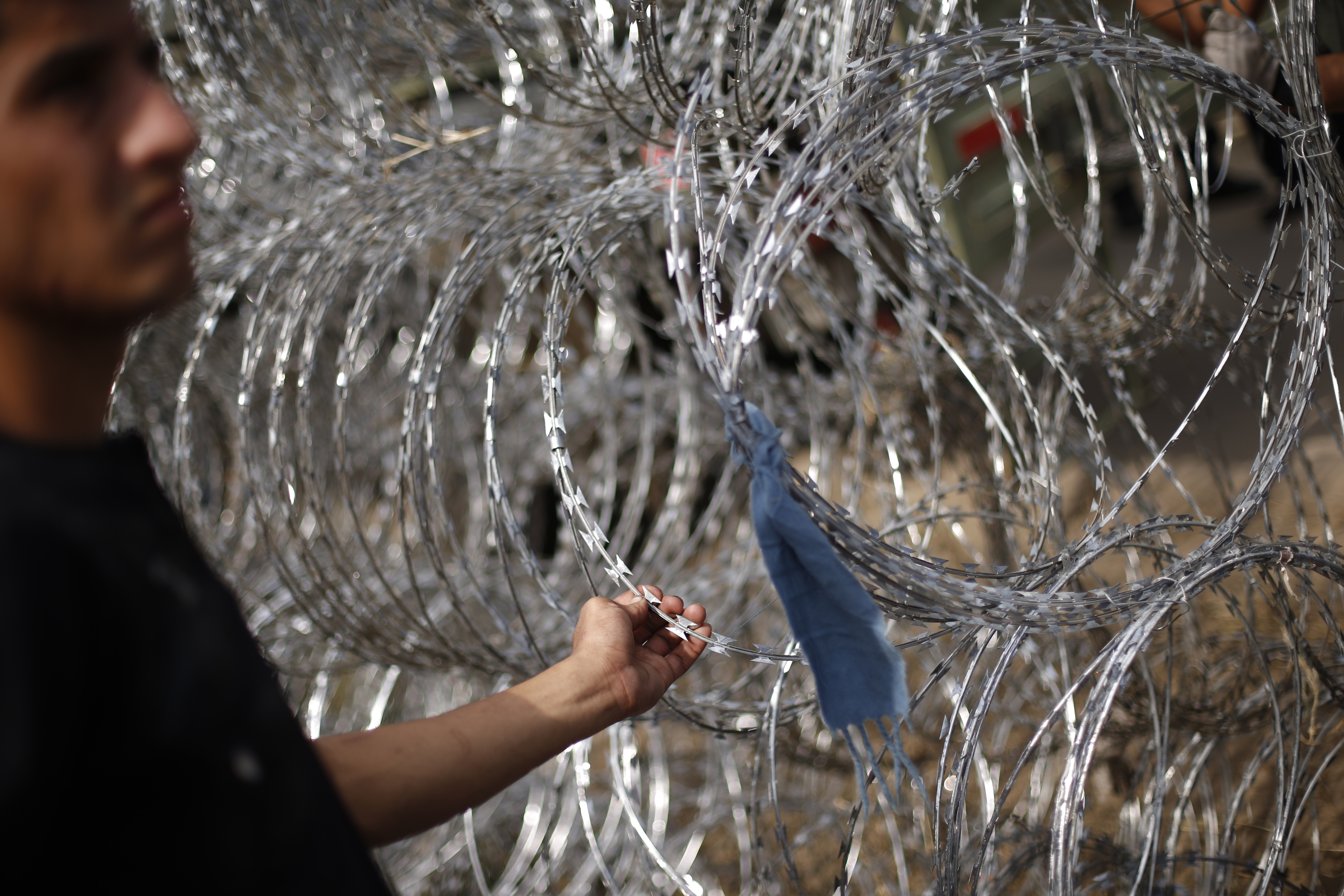 A migrant touches a razor wire fence at the border with Hungary near the village of Horgos, Serbia.