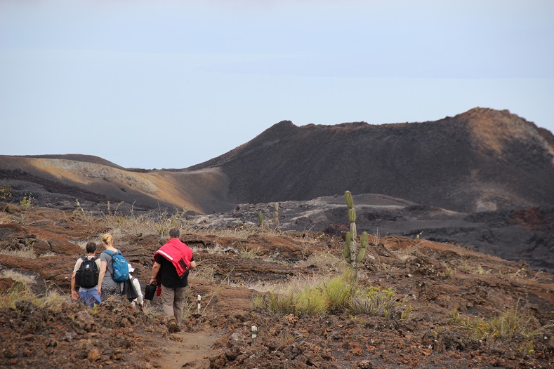 Not all of the Galapagos is so lush. The crater-riddled landscape around Isabella island's Sierra Negra volcano is more like a post-apocalyptic wasteland than a tropical island paradise, complete with dried lava flows and piles of sulfur.
