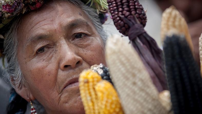 A Mexican woman protests against genetically modified corn in Mexico City as part of a larger national movement against Monsanto.