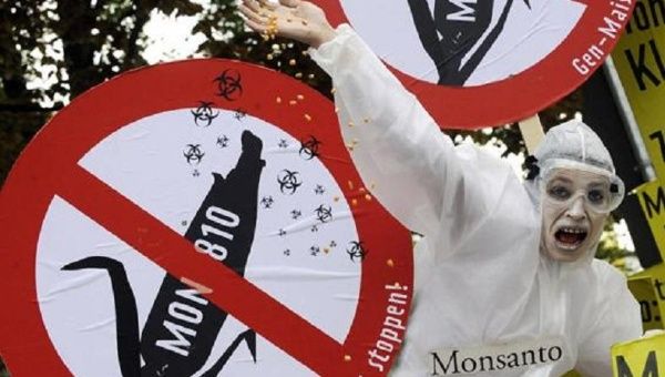 A demonstrator protests Monsanto.