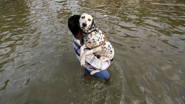 A man carries a dog as he wades through a flooded street.