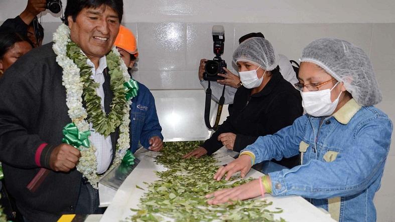 Bolivian President Evo Morales inspects a factory that uses coca leaves in a legal and responsible manner to produce foodstuffs, La Paz, July 29, 2013.