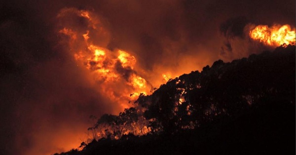 A raging fire has destroyed 53 homes and over 700-hectares of bushland.