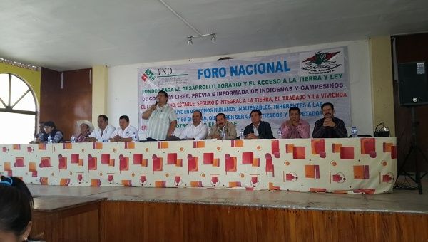 The campesinos movement started to mobilize in the defense of their lands, here in the state of Veracruz.