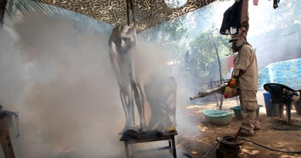 A worker fumigates a district in Santa Cruz, Bolivia, to prevent the spread of mosquito-borne disease.