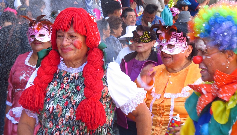 Carnival Parade Lights Up Ecuador's Streets