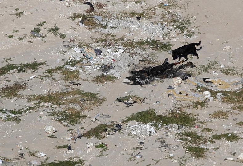 A dog approaches the burnt body of a person at a crime scene in a low-income neighborhood in Ciudad Juarez November 9, 2014. According to local media, the body was identified as the body of a woman. 