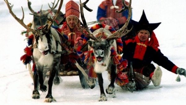 The Sami people of Scandinavia are known for reindeer herding.