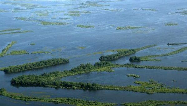 Depleted wetlands are seen in Plaquemines Parish, Louisiana, Aug. 25, 2015.