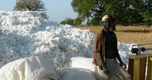 Burkina Faso is the top cotton producer in Africa.