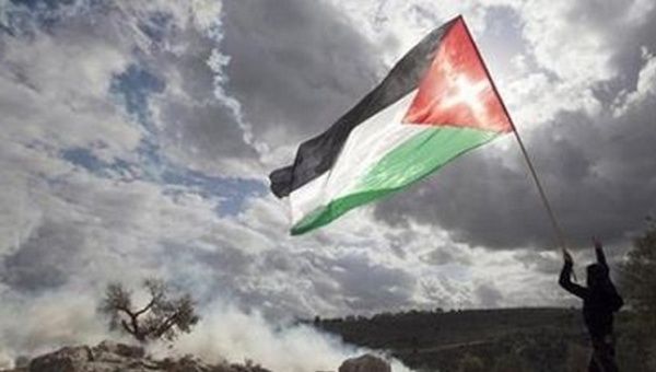 The Palestine flag
