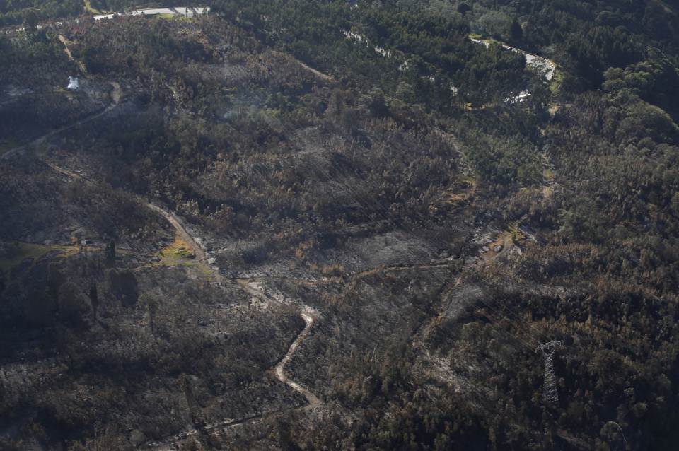 A general view shows land recently burned by forest fires on a hill in Alban municipality near Bogota, Colombia.