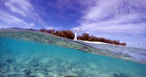A piece of coral can be seen in the reef flats in front of the lighthouse on Lady Elliot Island and 80 kilometers north-east from the town of Bundaberg in Queensland, Australia.