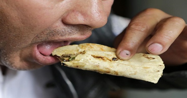 A man enjoys his soft-tortilla taco.