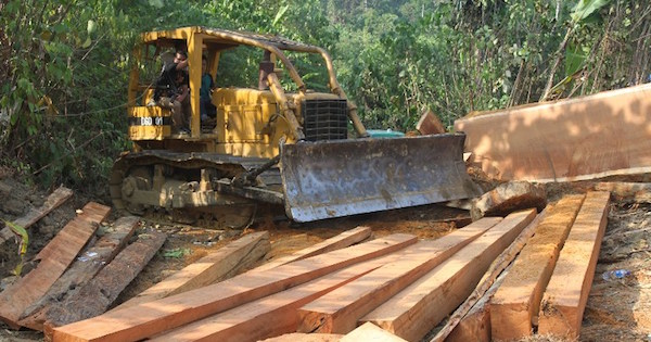 This picture taken in a forest close to Rantoe Panjang Bidari village, East Aceh on April 21, 2016 shows Indonesian policemen conducting an operation to crack down on illegal logging.
